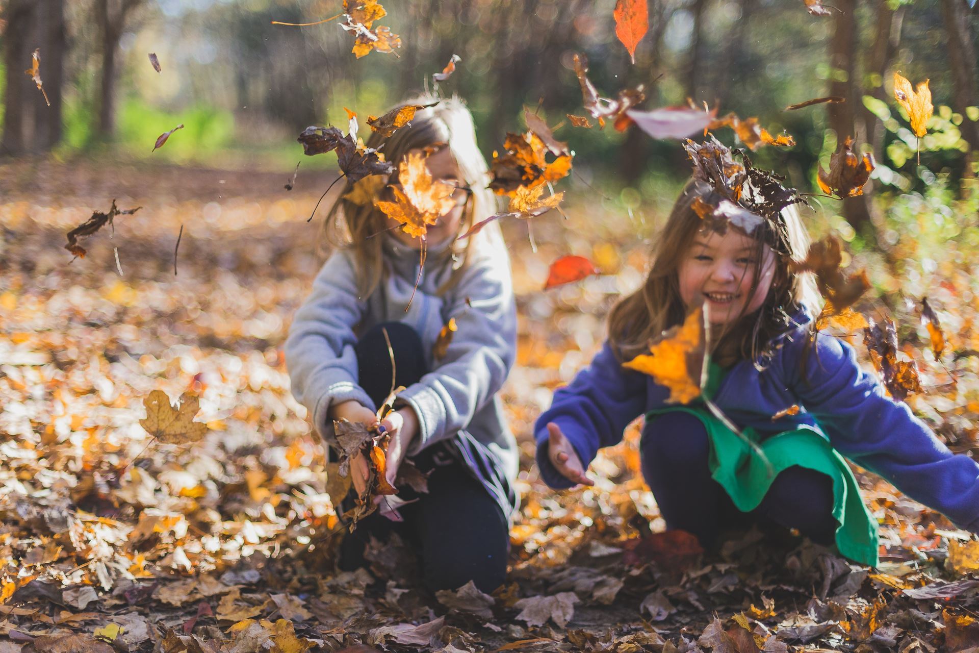 kids playing with leaves