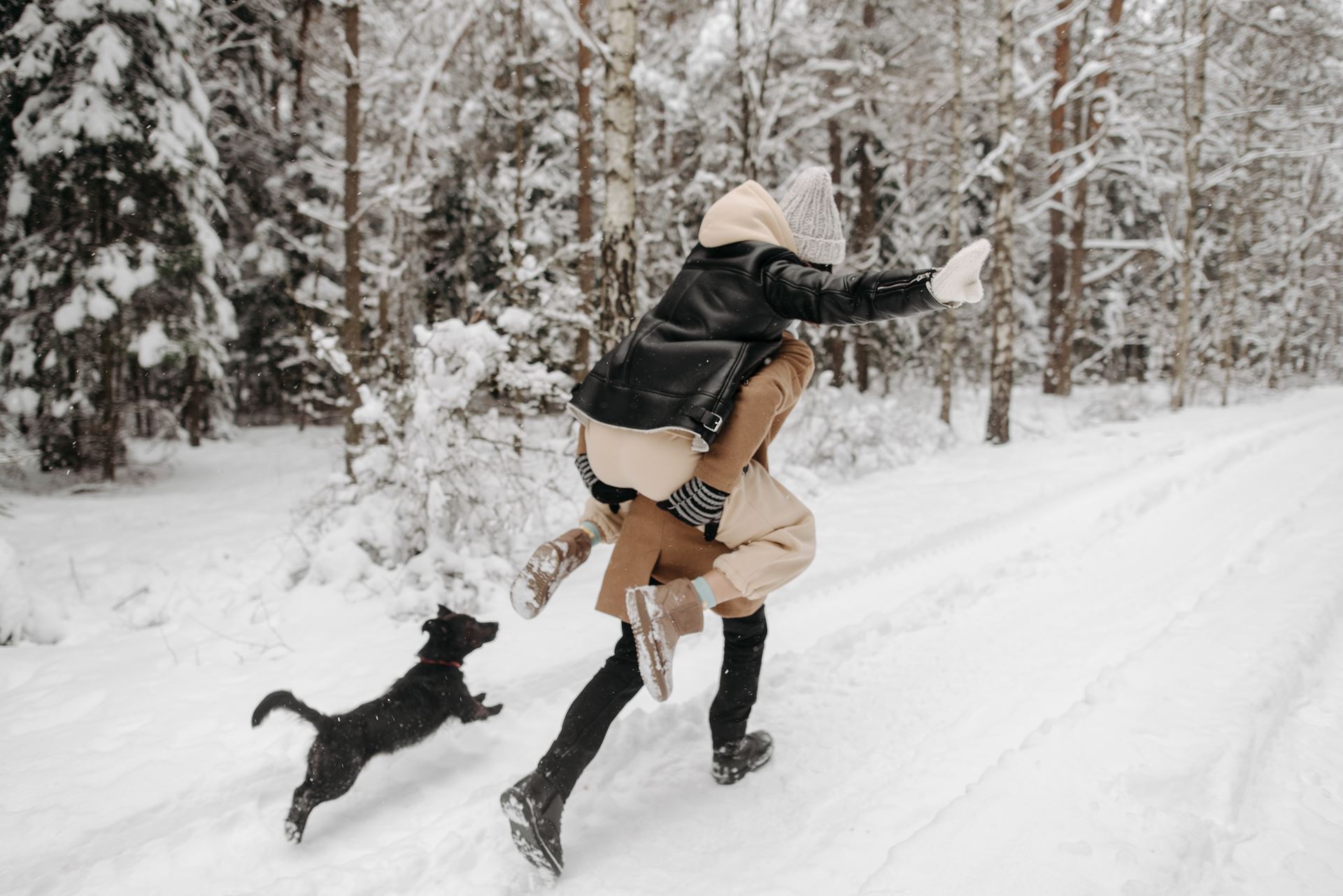 people playing in the snow with their dog